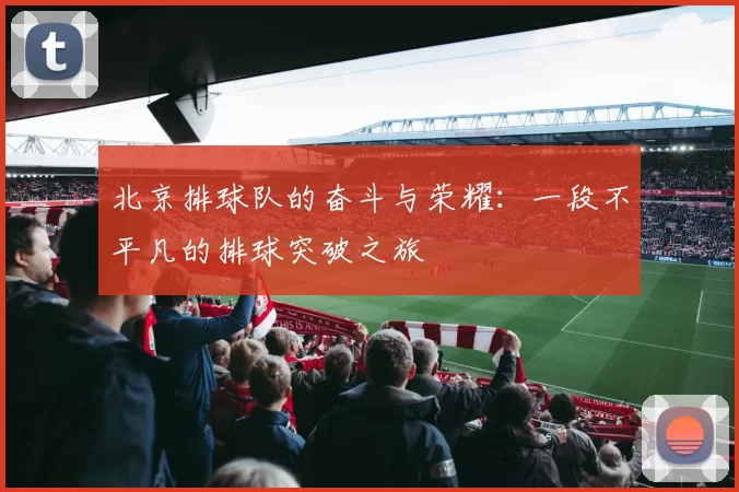 北京排球队的奋斗与荣耀：一段不平凡的排球突破之旅